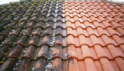 Démoussage et traitement préventif sur toiture